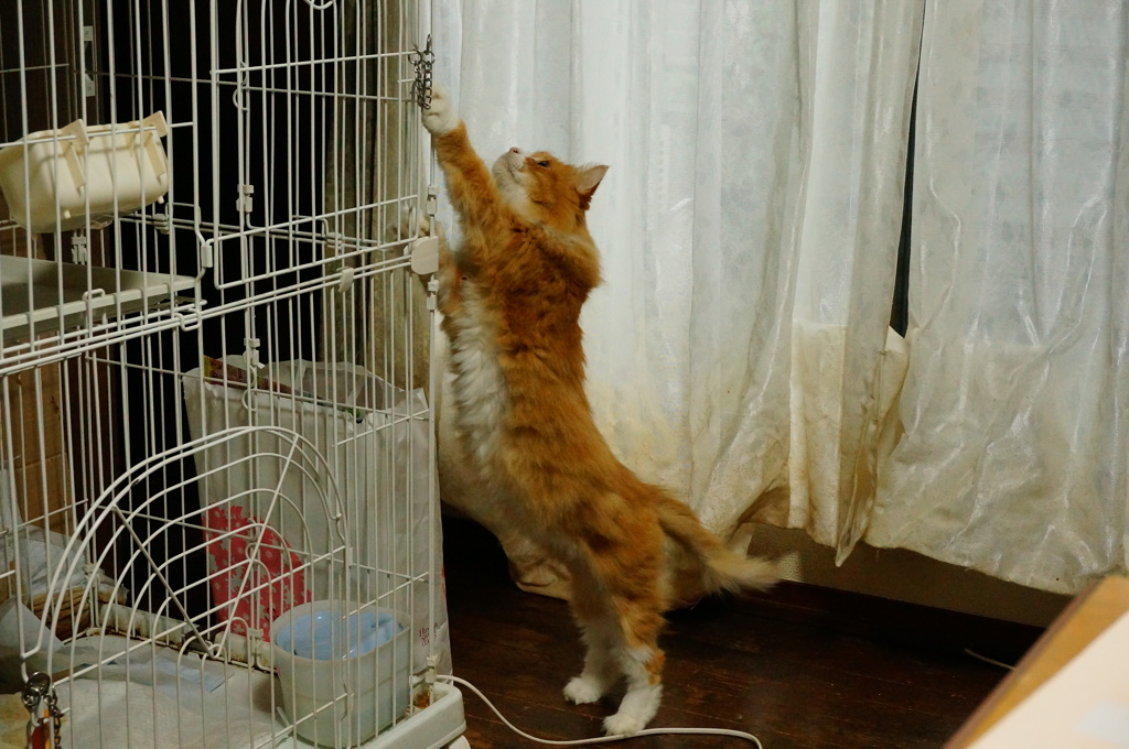 ちょうどいいところに