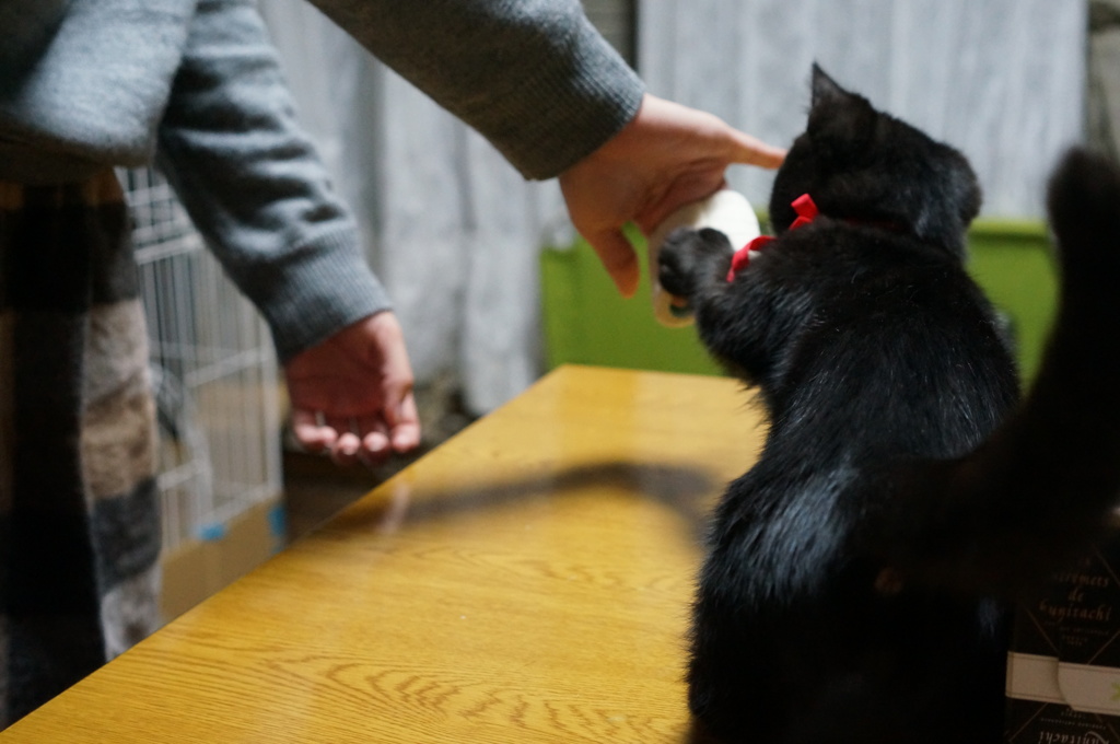 これは？二ゃに