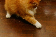 お手