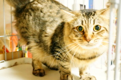 こわいの？