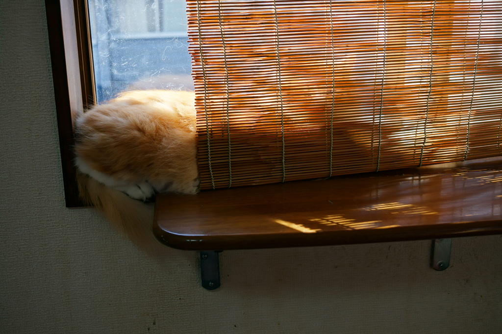 頭隠して･･･