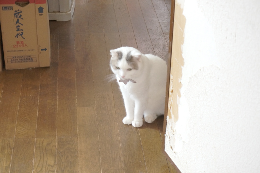 たたずむ