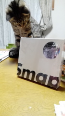 一つの時代が終わったのかな・・・