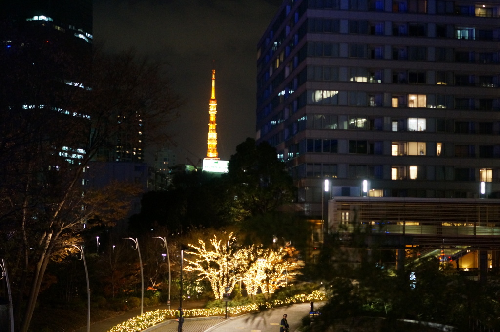 東京ミッドタウンから見た、東京タワー