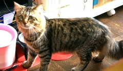 再度 たま407さんに教わって