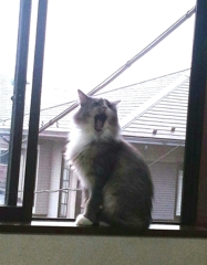 顎外れますよー