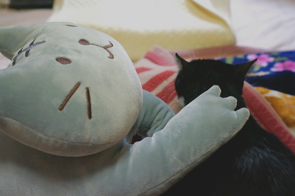看病