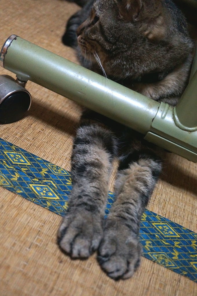 揃えてね