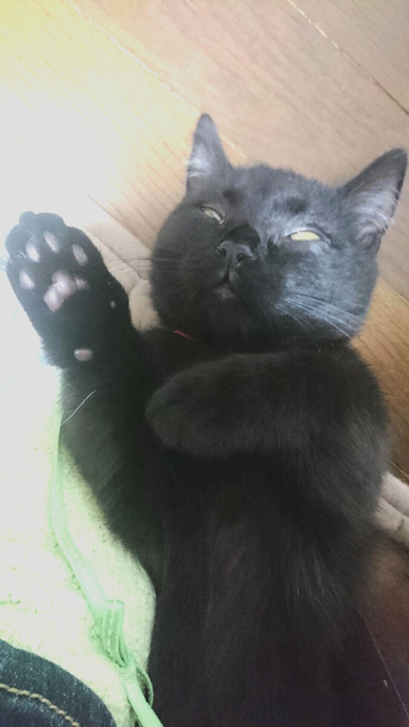 ホラー