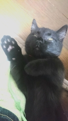 ホラー