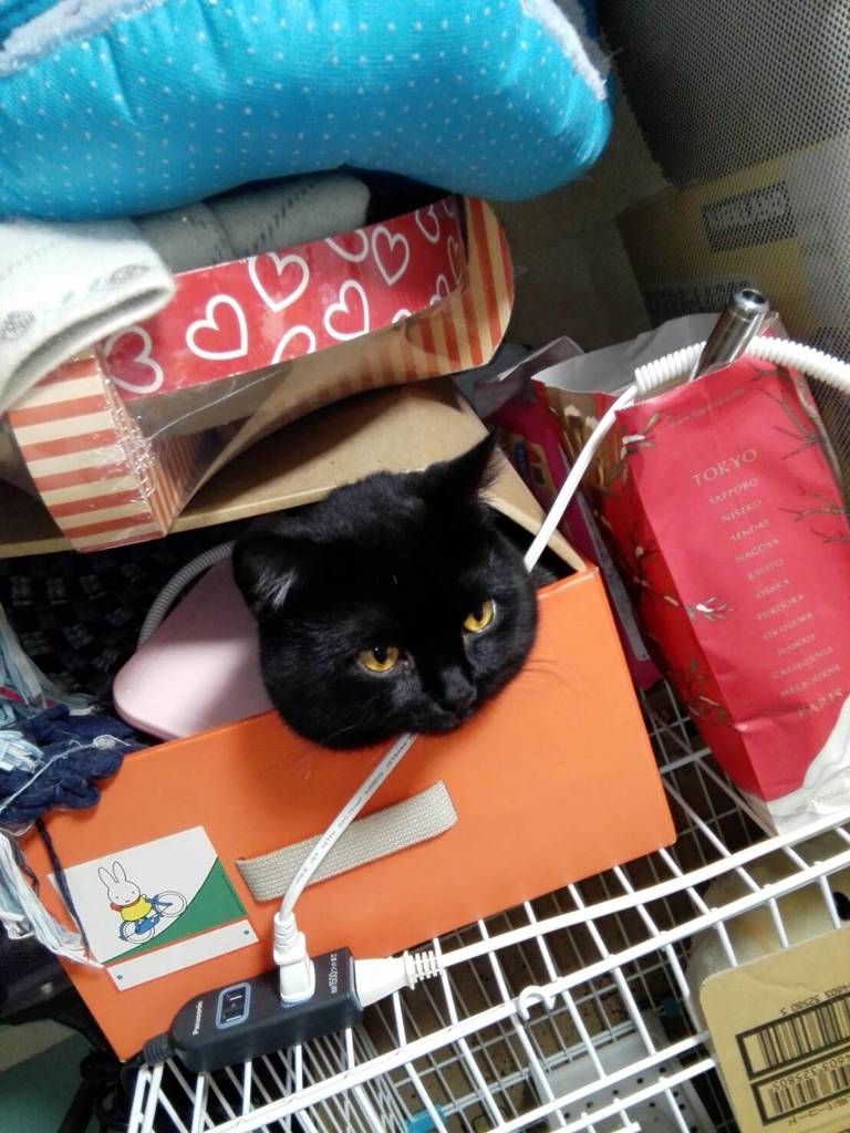 どこ入ってるの？