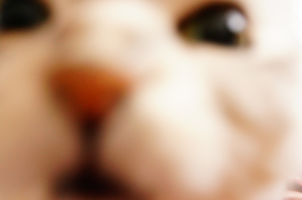 トドメの