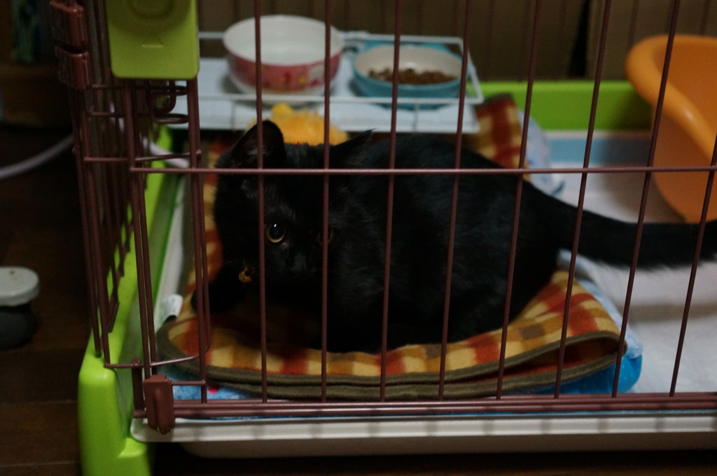 ボク･･･大雅 です