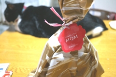 Mother's Day