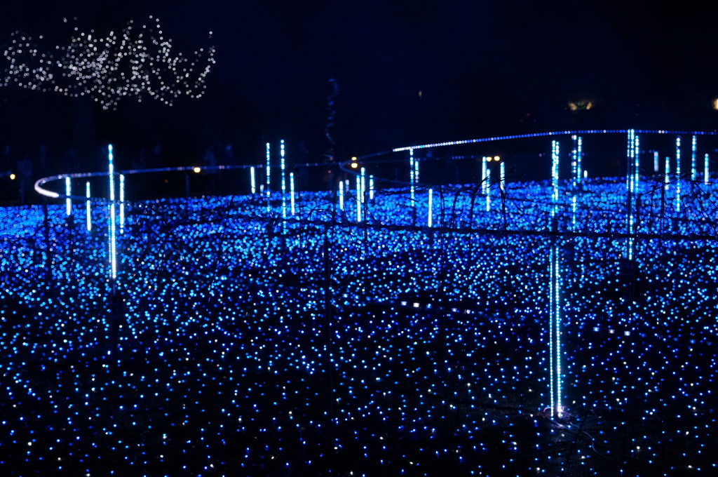 東京ミッドタウン5