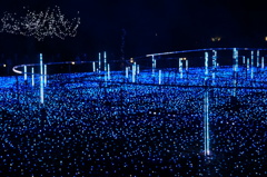 東京ミッドタウン5