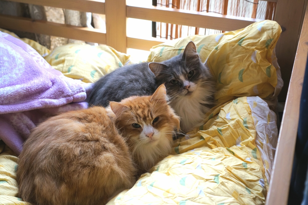 やっぱり仲良し♡