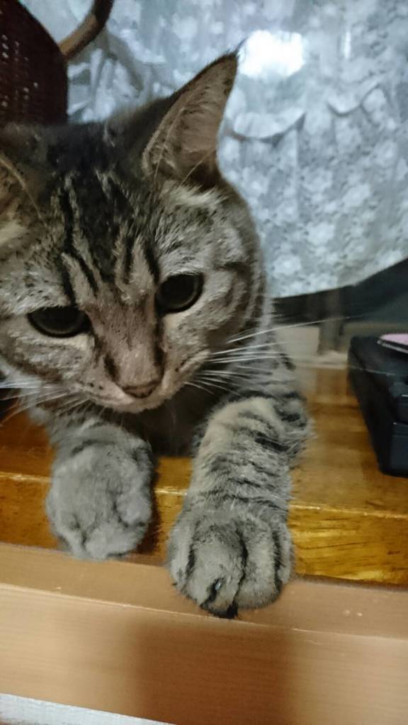 見つけた！