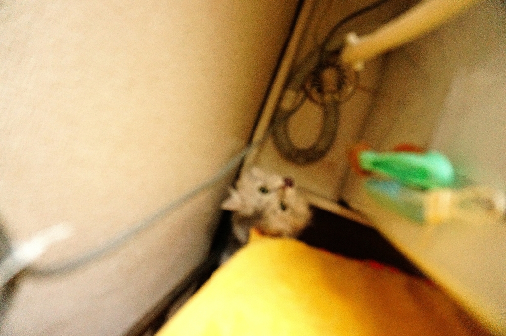 そんな所で何してるの？