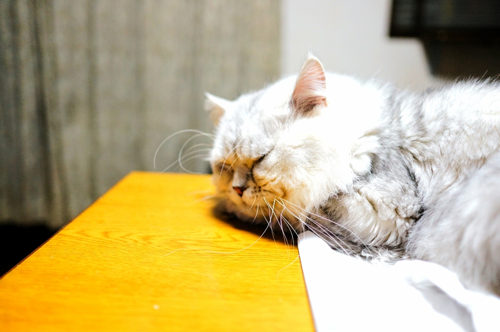 Zzz