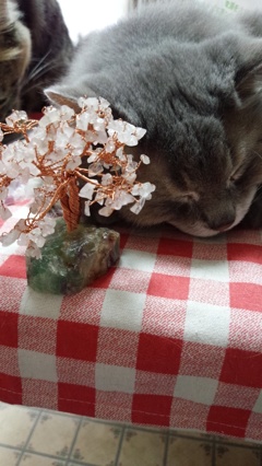 天然石の桜とニャンコ