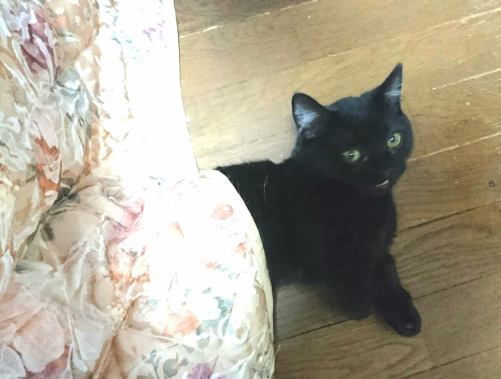 おきたの？