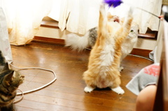 うにゃにゃにゃあ