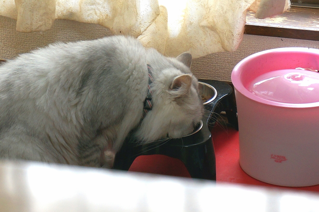 ムシャムシャ