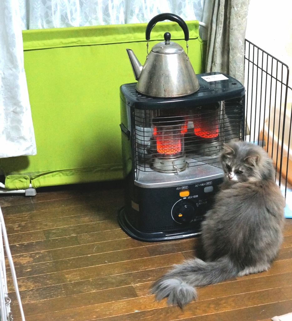 暖を取る