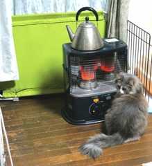 暖を取る
