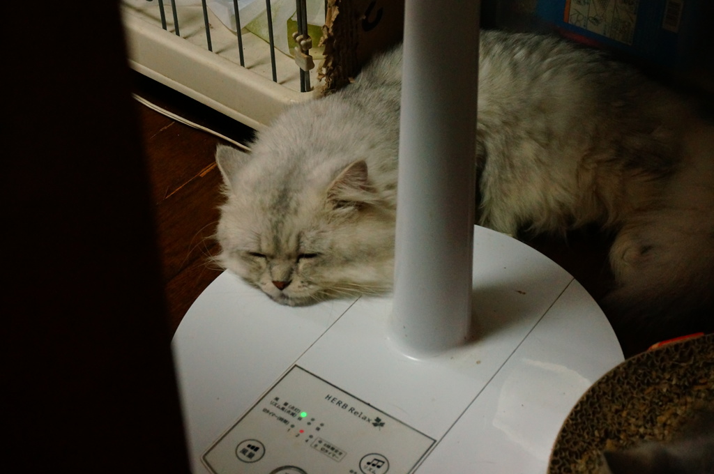 くた