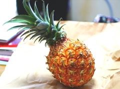 スナックパイン