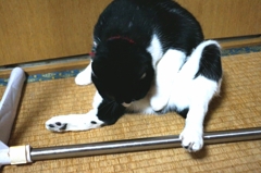 あの……燐……さん…………