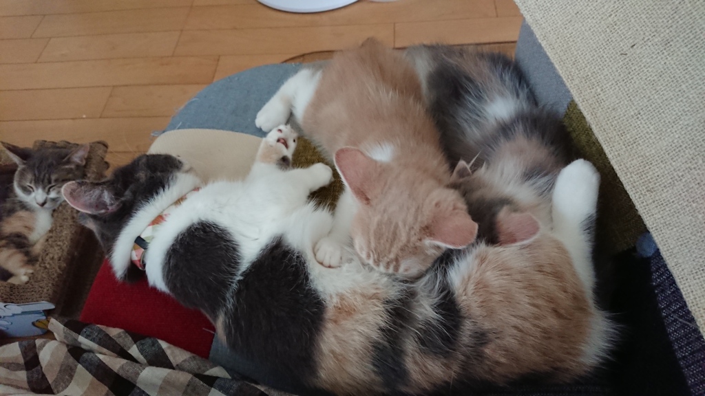 優しすぎます