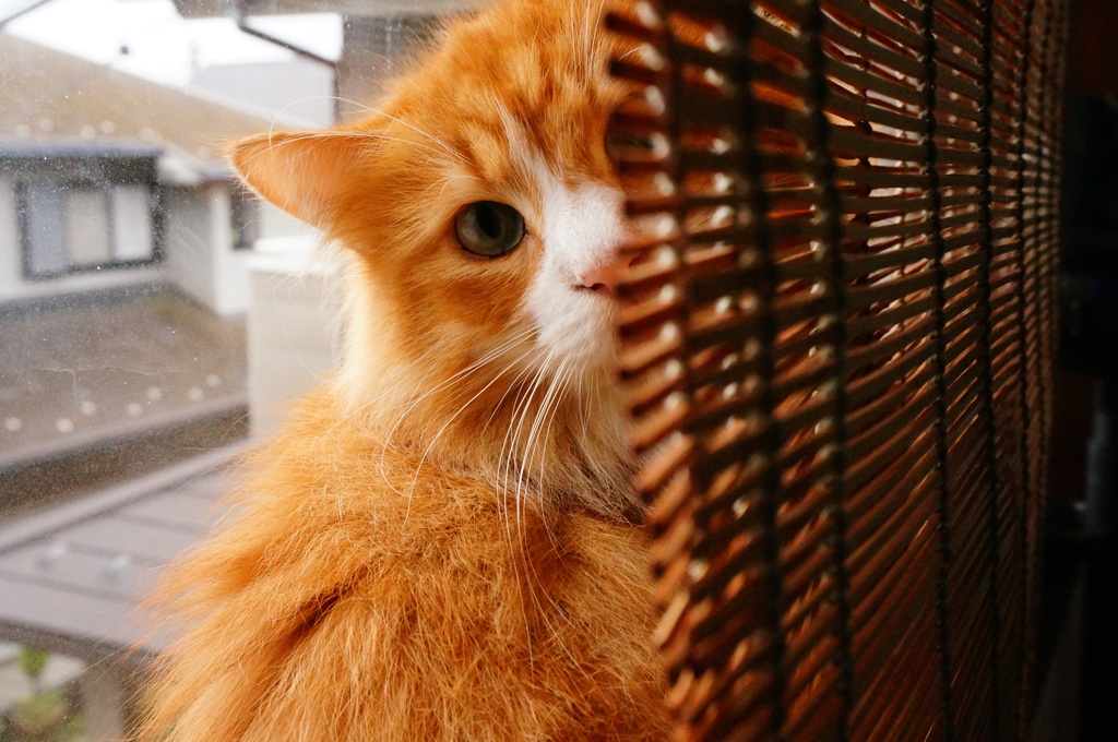 覗かれちゃった