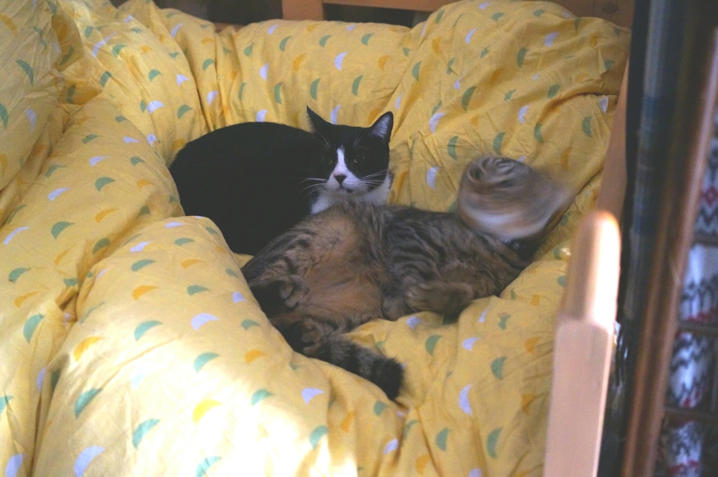 ホラー