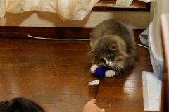 捕まえた