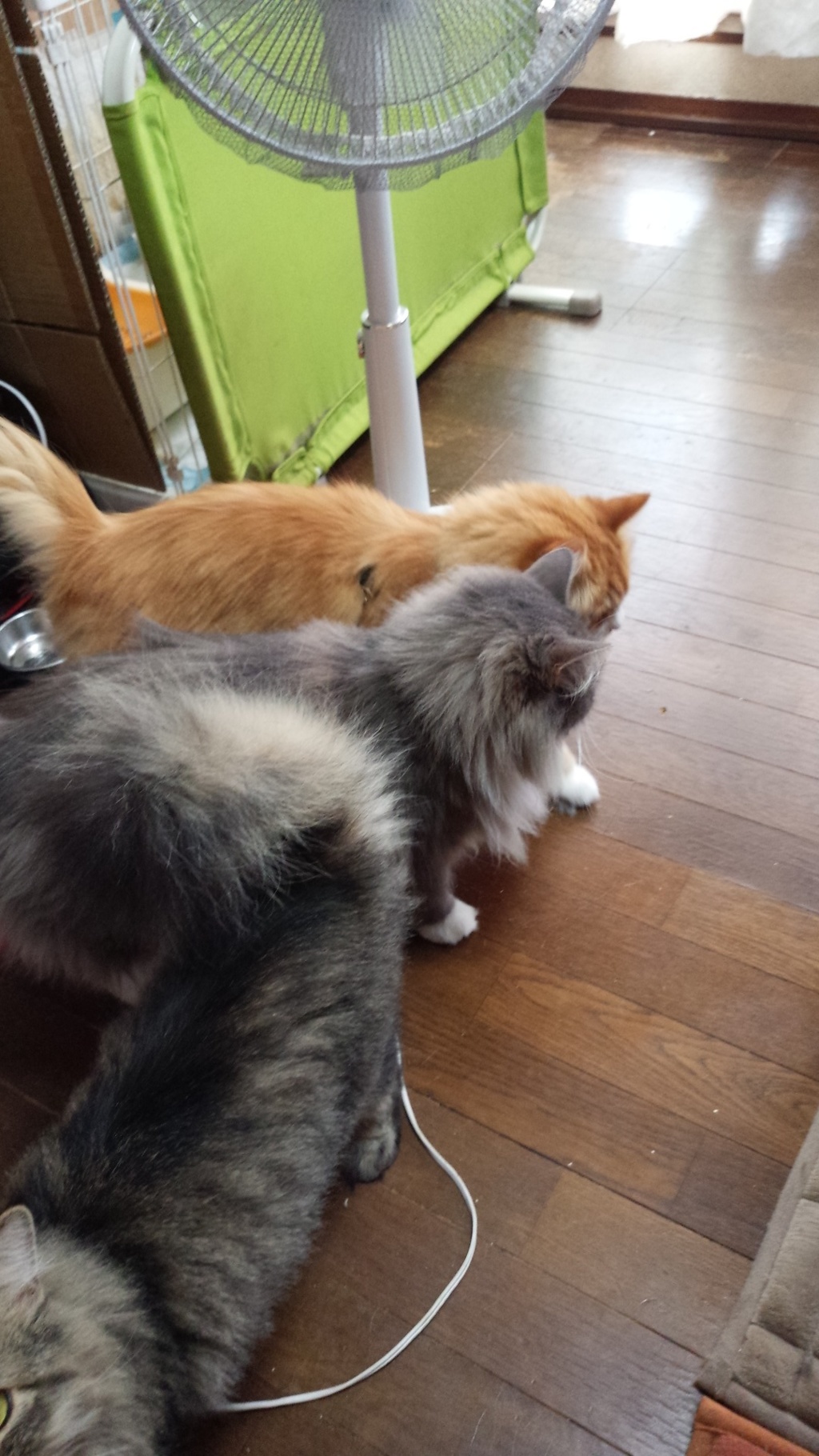 ツーショット見てないなぁ