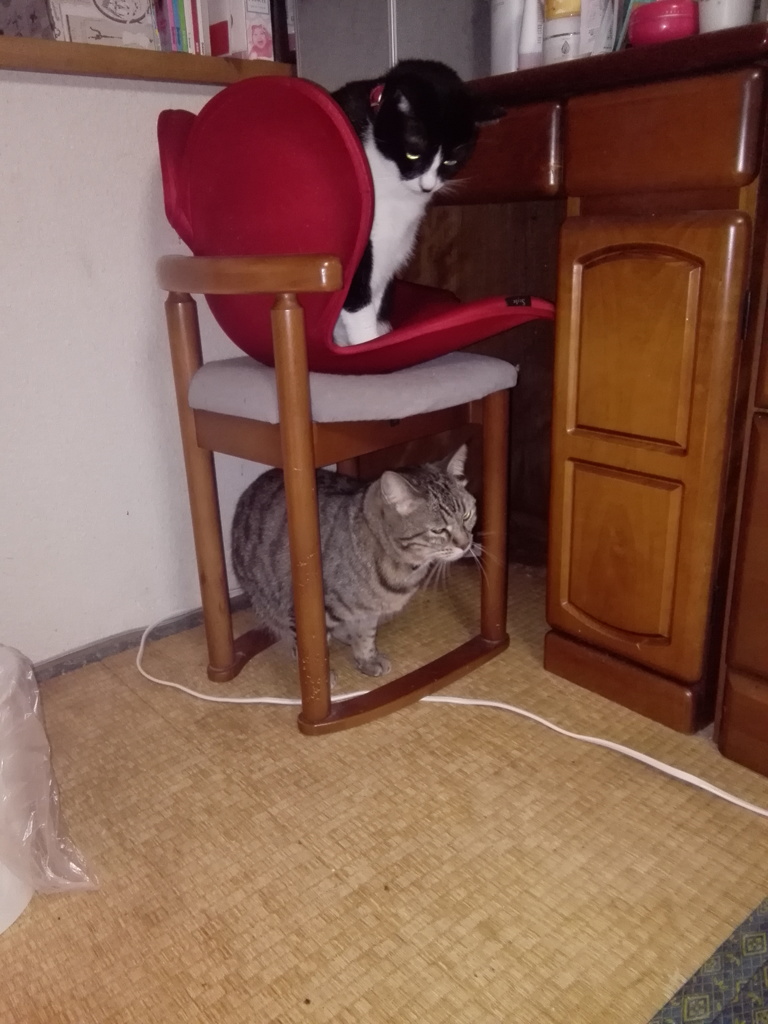 二階建て