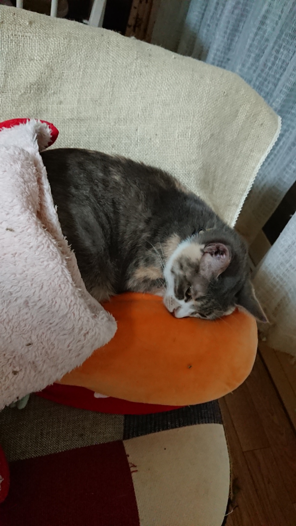 …zzZ