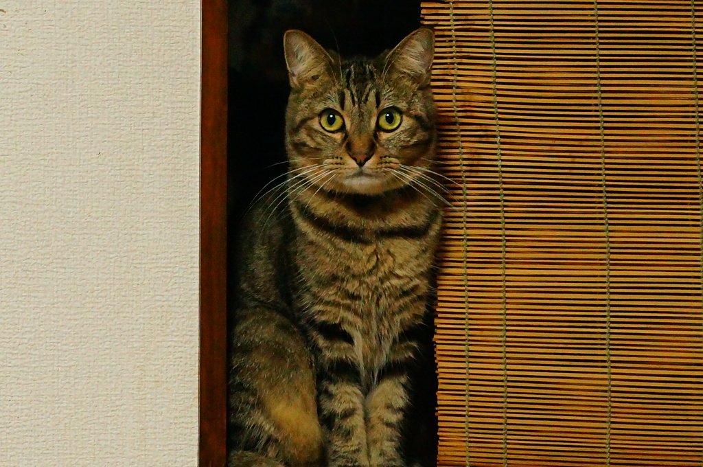リオン像