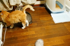 イチャイチャ６