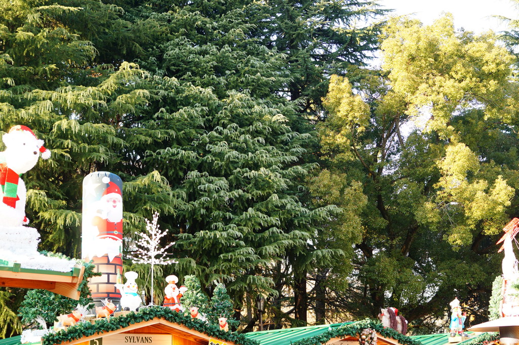 緑とクリスマスマーケット