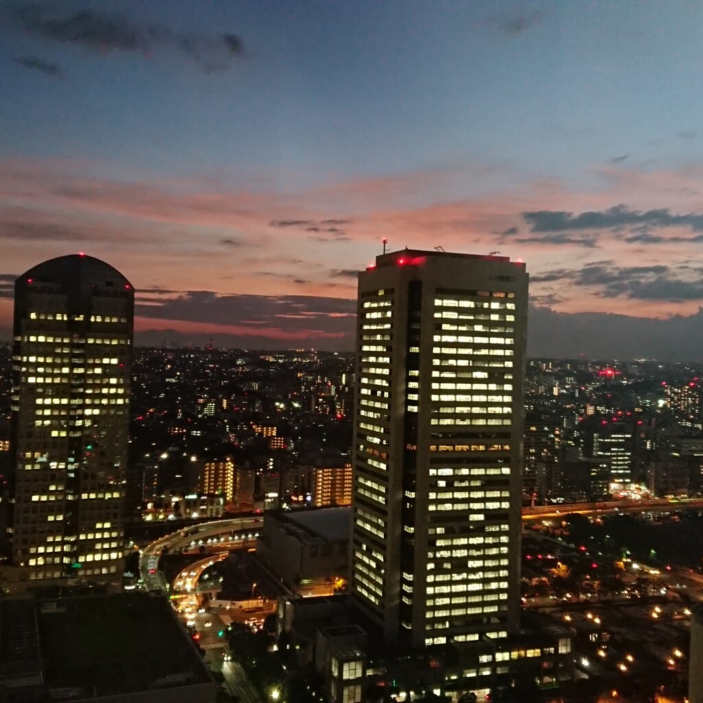 台風の後は