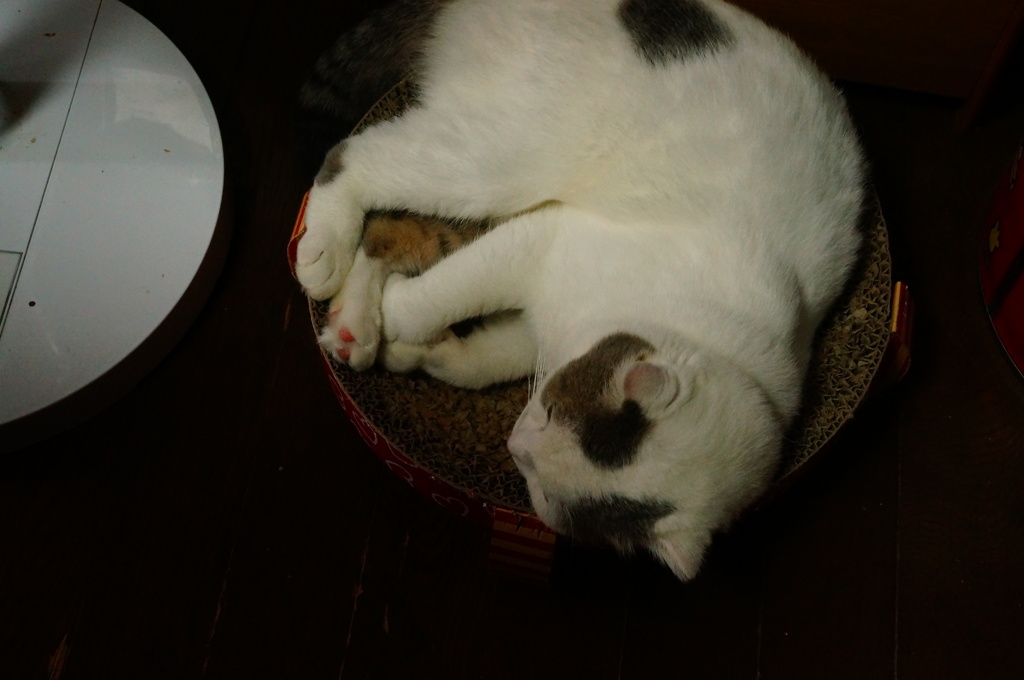 いつもの場所かあ