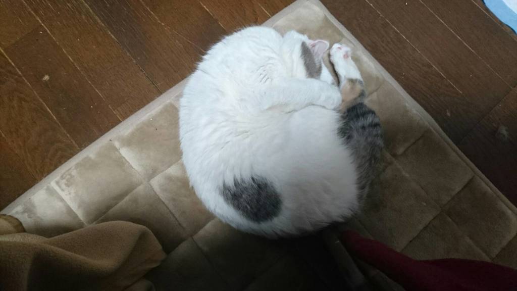 団子