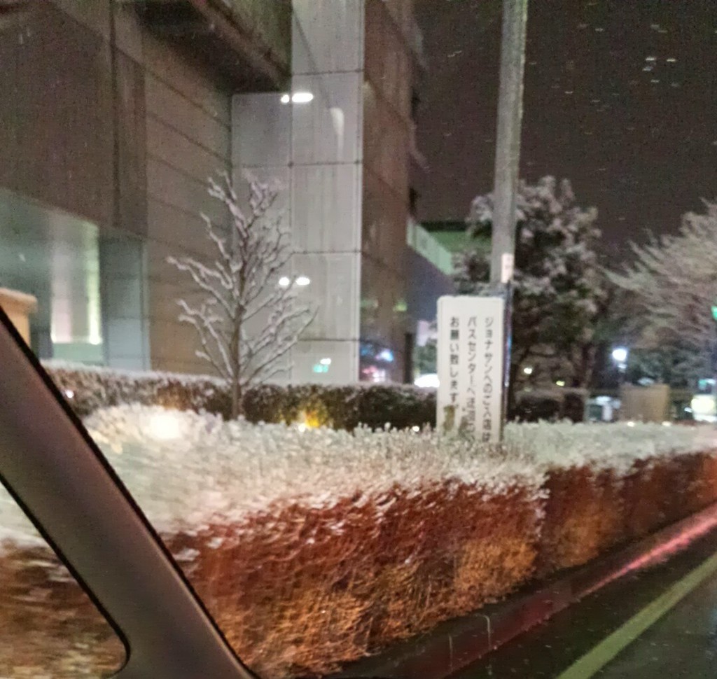 昨日の雪