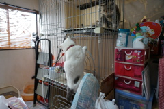 ロッククライマー