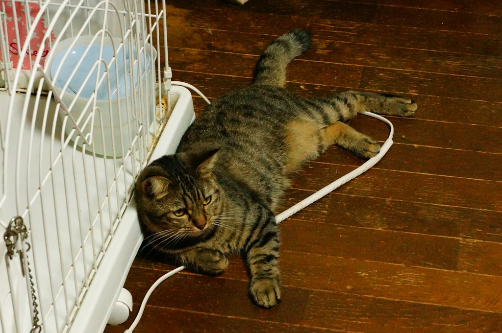 ちょっと休憩