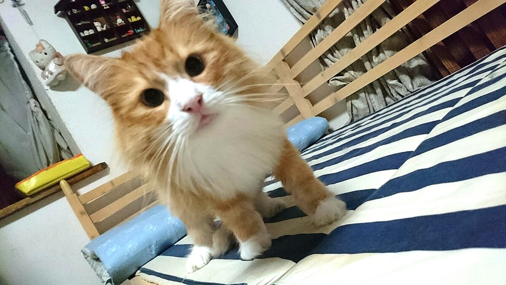興味深い